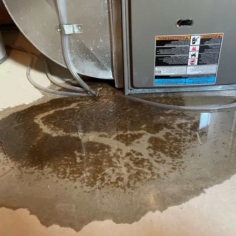 Pipe Burst and Leak Restoration in Clay City, KY