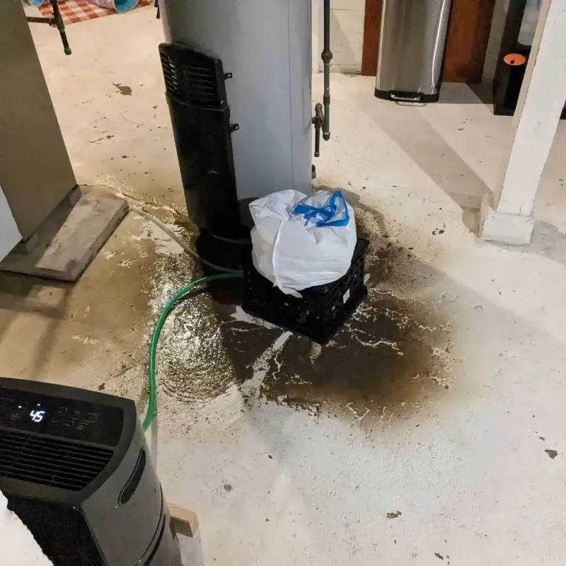 Sewage Backup Cleanup Service in Clay City, KY
